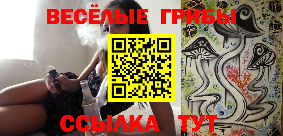 Галлюциногенные грибы прущие грибы  Вход с VPN  Гагарин 