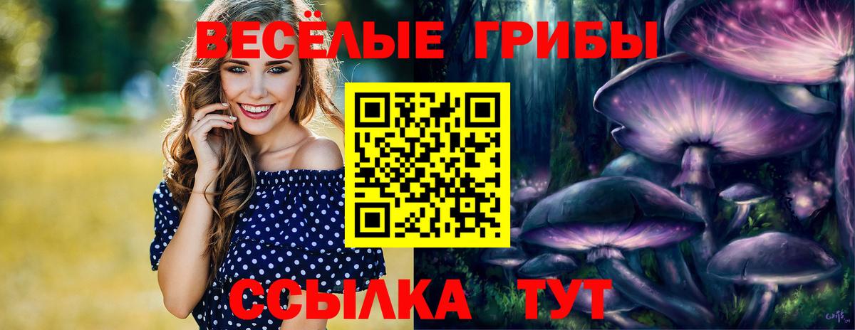 Галлюциногенные грибы мицелий Гагарин